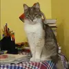 Отзыв от Кристина Сухова
